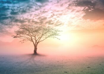 This ultimate guide to the best spiritual blogs of 2023 aims to help you navigate the vast landscape of spiritual wisdom, explore diverse traditions, and find inspiration from the most influential spiritual teachers